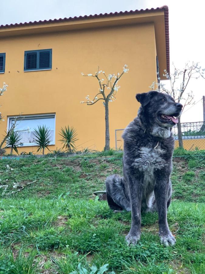 Willa Casinha A Porta Arouca Zewnętrze zdjęcie